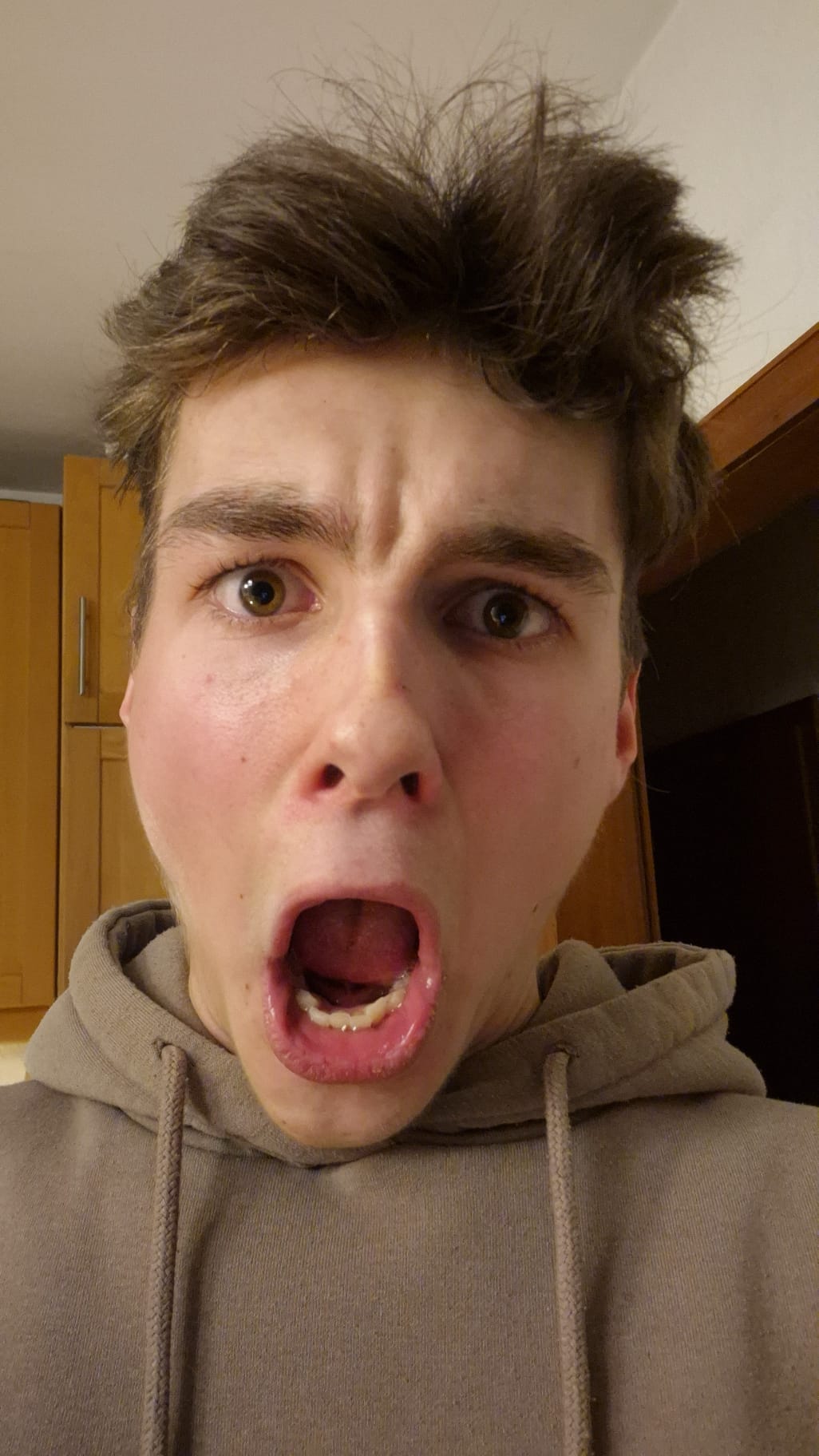 Twitch-Livestream Vorschau