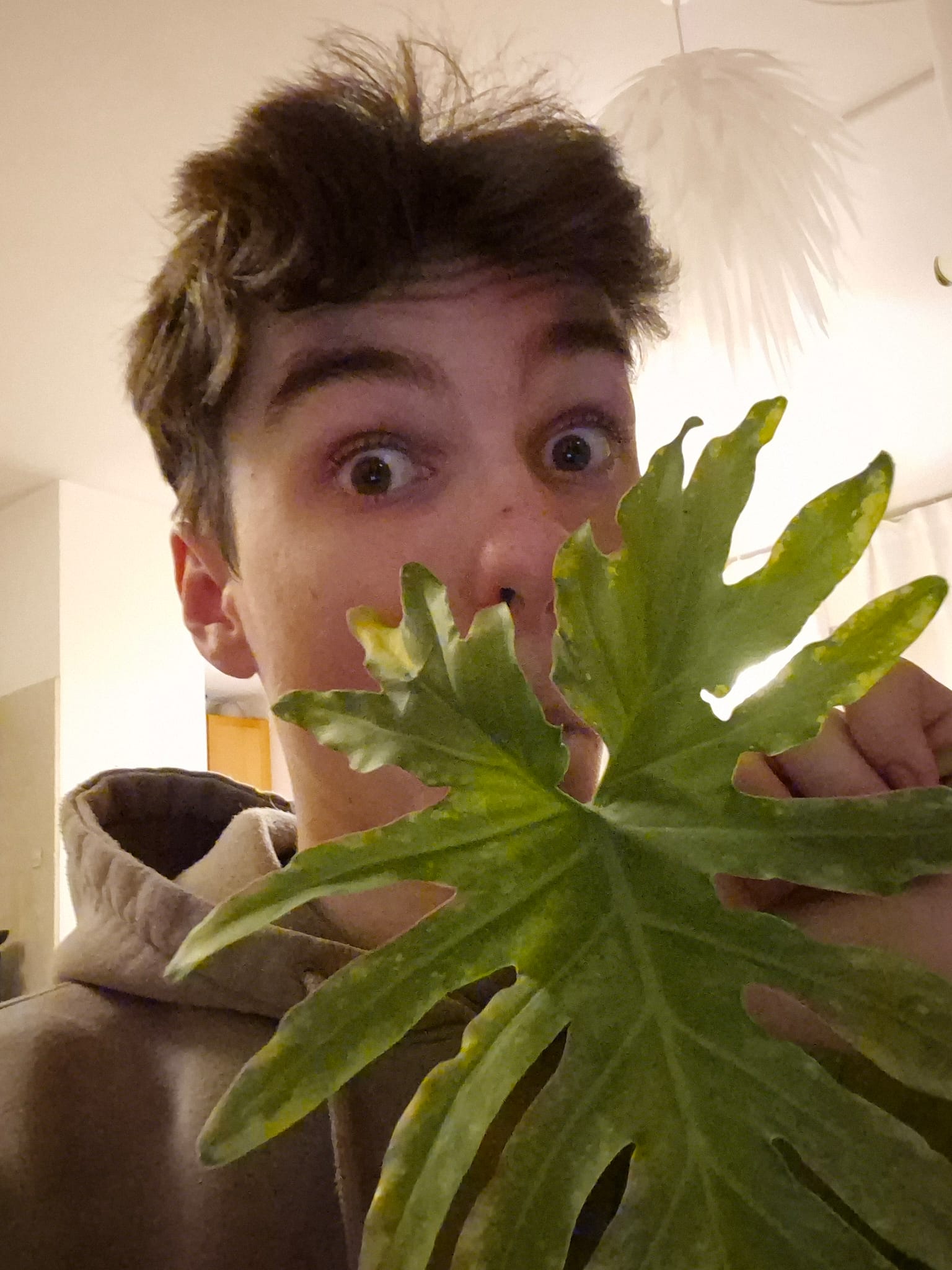 YouTube IRL Vorschau